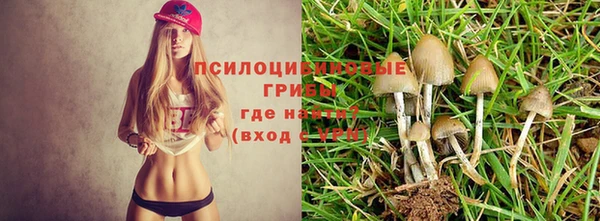 синтетический гашиш Арсеньев