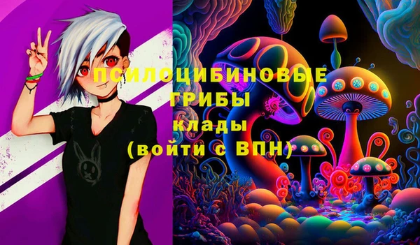 синтетический гашиш Арсеньев