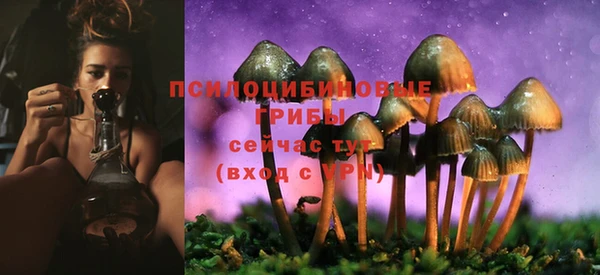 гашишное масло Аркадак