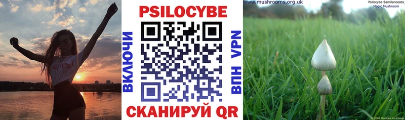 Псилоцибиновые грибы MAGIC MUSHROOMS Цивильск
