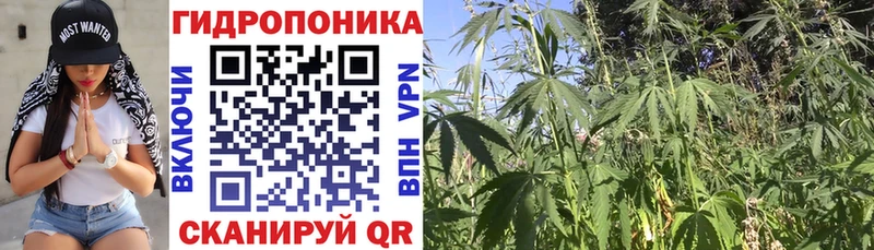 площадка наркотические препараты  Цивильск  Шишки марихуана LSD WEED 